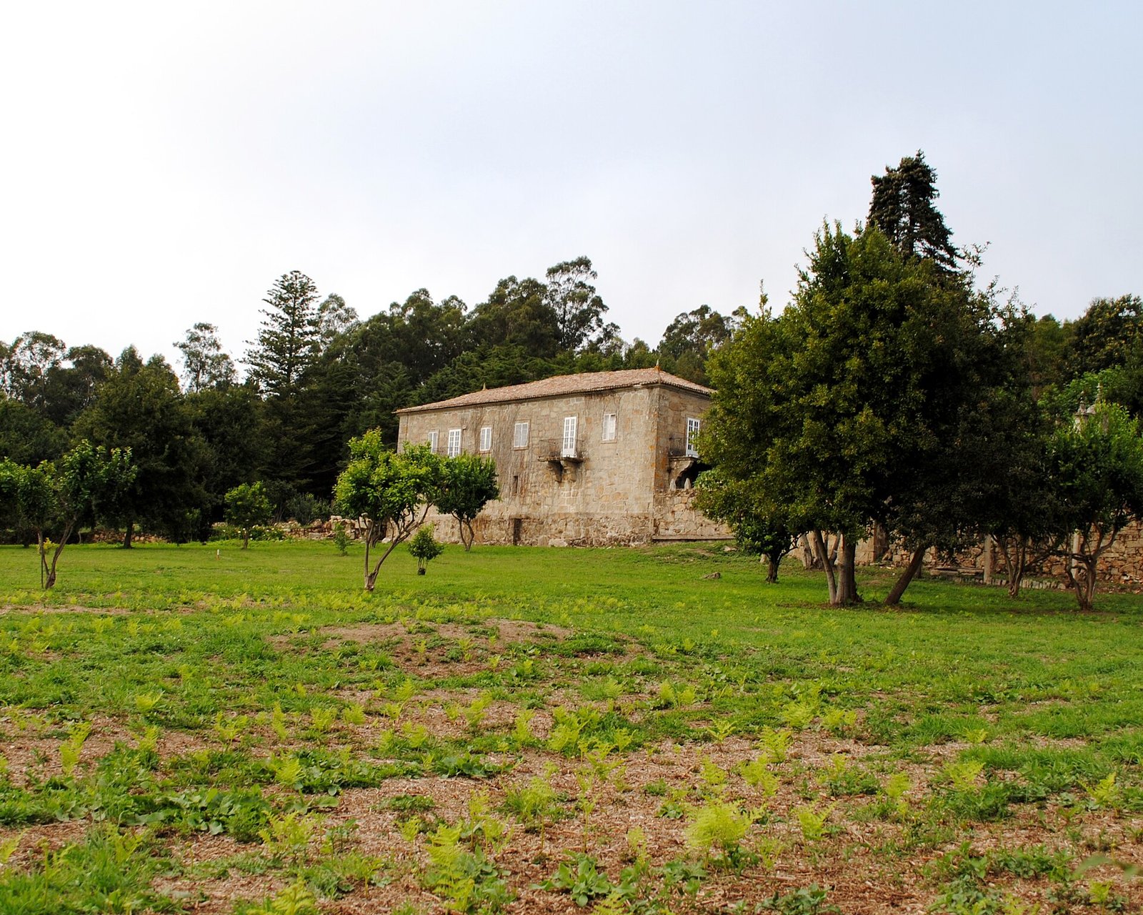 Pazo de Cea entre naranjos y prado, con el monte al fondo